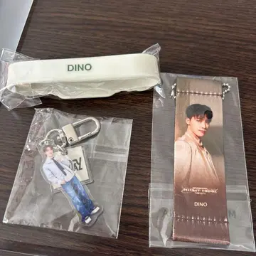 SEVENTEEN DINO 키링 세트