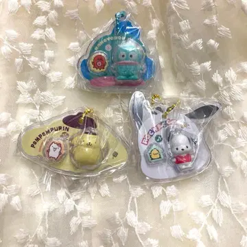 산리오 캐릭터즈 패키지 참 한교동 푸딩 포차코