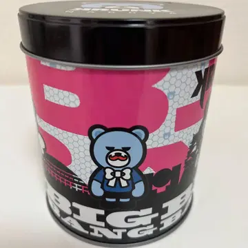 BIGBANG KRUNK 디자인 수납 캔