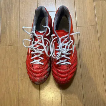 모나르시다 네오 한정 컬러 사이즈 25.5