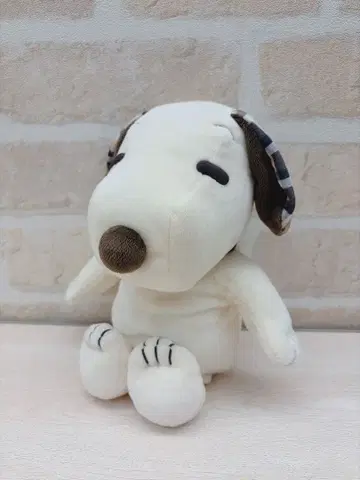 USJ 유니버설 스튜디오 재팬 스누피 봉제 인형 펜 케이스 필통 파우치