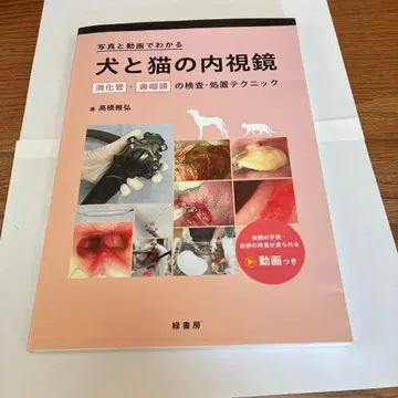 개와 고양이의 내시경