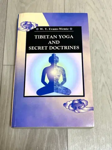 티베트의 요가와 밀교 W. Y. 에반스웬츠 외국도서
