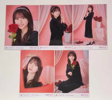 노기자카46 브로마이드 5종 컴프 2025 발렌타인