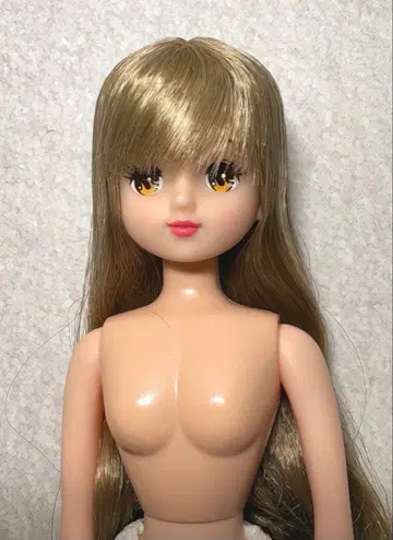 리카짱 캐슬 오타노시미 인형 아키짱 개봉품