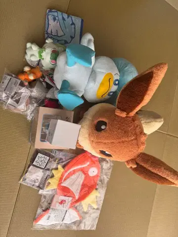 반짝반짝 박스 2026 갸라도스 암컷 미포함