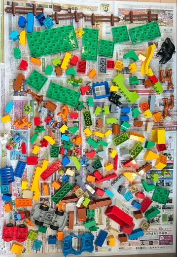 LEGO Duplo 블록 & 피규어 세트