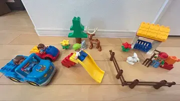 LEGO Duplo 블록 & 피규어 세트