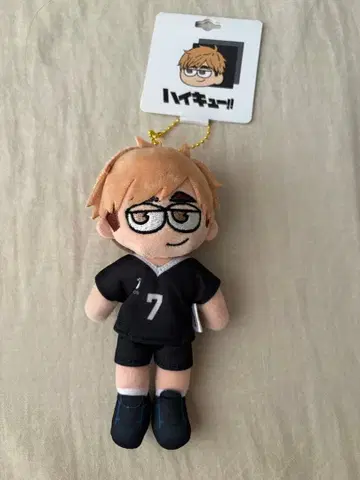 미야 아츠무 하이큐 지로리