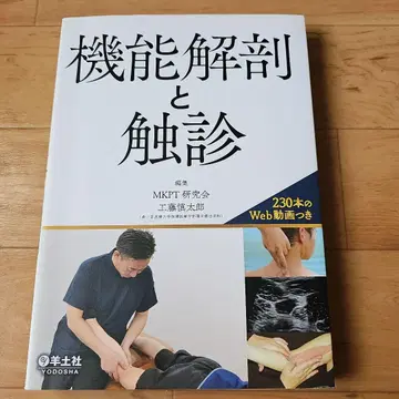 기능 해부학 및 촉진법