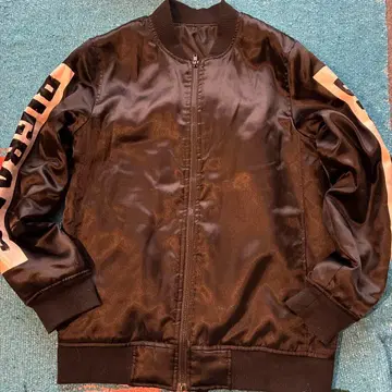 BIGBANG 콘서트 스카잔