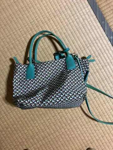 [레어] 로베르타피에리 한정판 민트 컬러