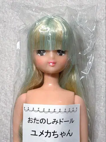 리카짱 캐슬 오타노시미 인형 유메카짱 미개봉품