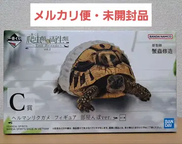[ 익명 배송 ] 제일복권 파충류&양서류 헤르만 육지거북 피규어