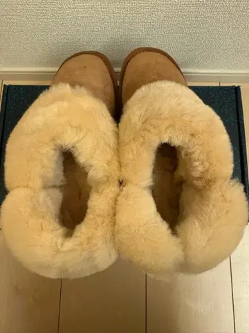 EMU 플래티넘 민타로