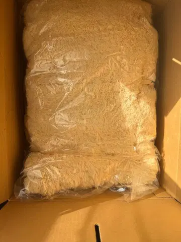 젤라피케 피카츄 남성용 M 사이즈 가격 인하 대환영입니다.