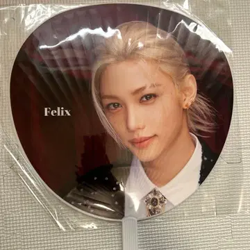 Straykids Felix 2024 겨울 팝업 부채