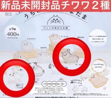 우리 집 털뭉치 강아지 치와와 블랙 화이트 2개 세트 한정판 모듬
