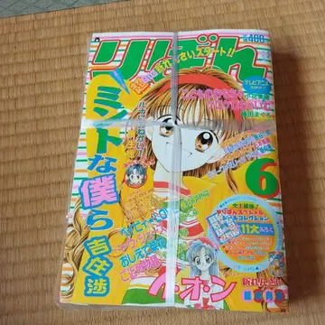 리본 헤이세이 9년 6월호 부록 포함