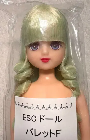 리카짱 캐슬 오타노시미 인형 ESC 인형 팔레트F 미개봉품