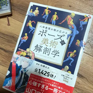 포즈의 미술 해부학