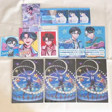 파라라이 VISTY 아키라 묶음 판매