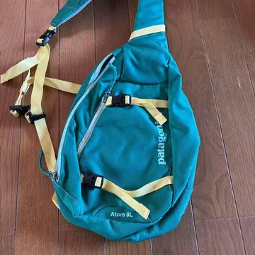 patagonia Atom 8L 바디백