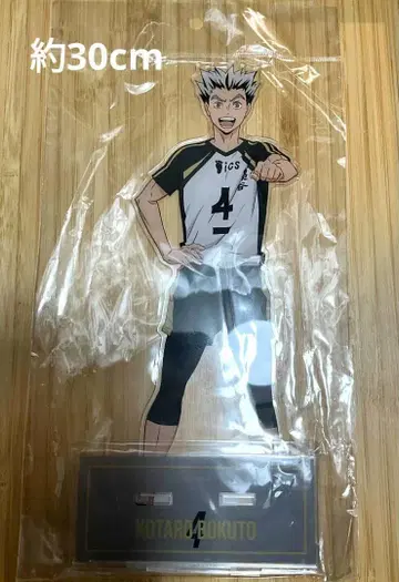 하이큐 특대형 아크릴 스탠드 Big 아크릴 스탠드 보쿠토 코타로