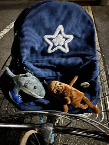 starteam 파랑 백팩 거의 안 썼습니다