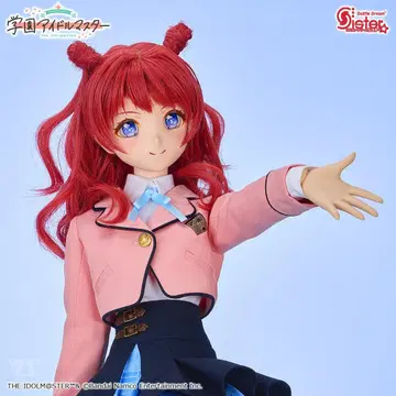 돌파 54 DDS 하나미 사키 새상품 보크스