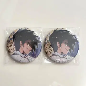 약속의 네버랜드 레이 캔뱃지