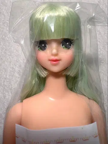 리카짱 캐슬 오타노시미 인형 마리 미개봉품