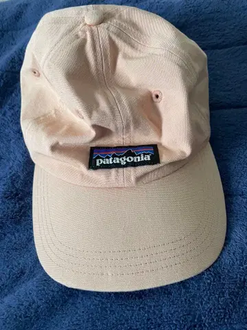 patagonia 베이지 캡