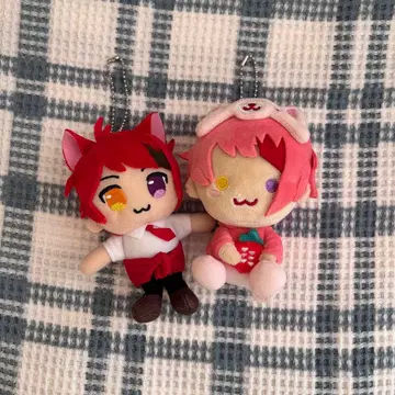 리이누 군 누이 세트