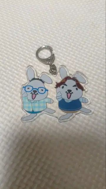 나스나카니시 라빗 키링