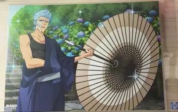 BLEACH 브레솔 번 우산 정전기 포스터 그림죠 엘르 2장 세트