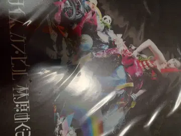 하야시바라 메구미 클리어 파일 A4 사이즈