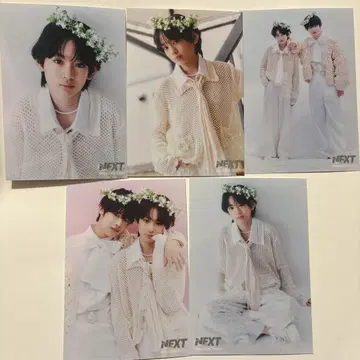 우에다 유토 사진 세트