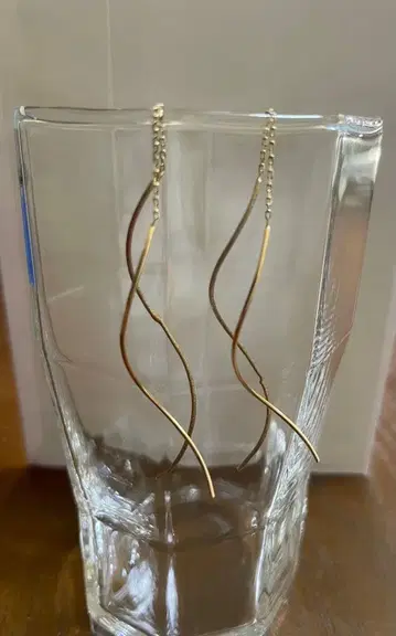 [ 코코슈닉 ] S자 라인 체인 귀걸이