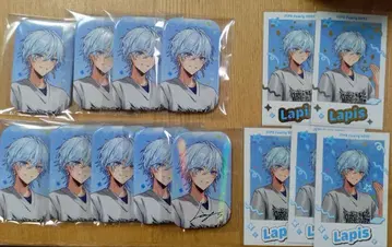 STPR Family 메테오라 라피스 캔뱃지, 폴라로이드 레어