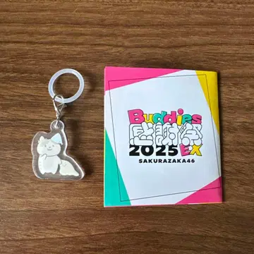 사쿠라자카46 메지루시 참 야마시타 시즈키