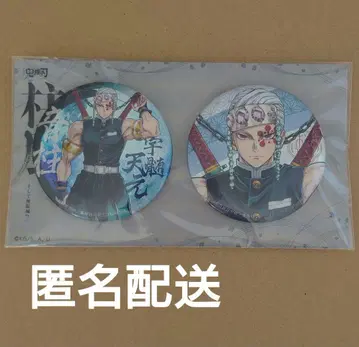 귀멸의 칼날 우즈이 텐겐 기둥전 KV 캔뱃지