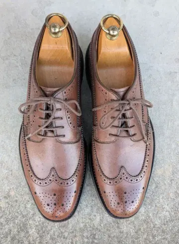 REGAL 윙팁 브라운 W10A 24.5cm