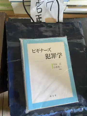 비기너즈 범죄학