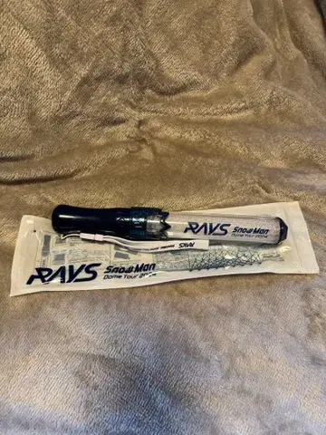 SnowMan Dome tour 2024 RAYS 응원봉