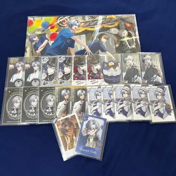 밀라노 케스트렐 니지 페스티벌 클리어 파일 폴라로이드