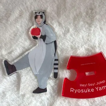 Hey! Say! JUMP 야마다 료스케 아크릴 스탠드 너구리