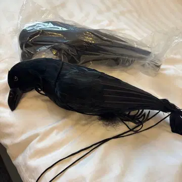 해충 대책에. 리얼한 검은 까마귀 입상 2개