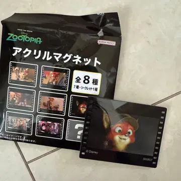 주토피아 2 아크릴 마그넷