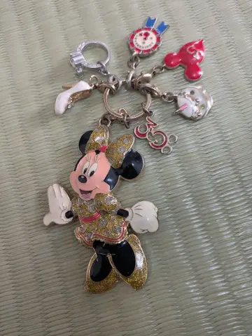 미니 백참 디즈니랜드 30주년